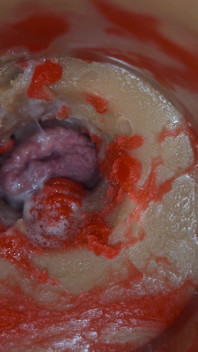 Insemination - Internal Camera Captures Deep Male Ejaculation