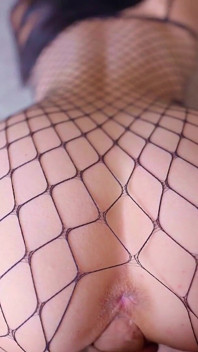 Grande rabo de quatro