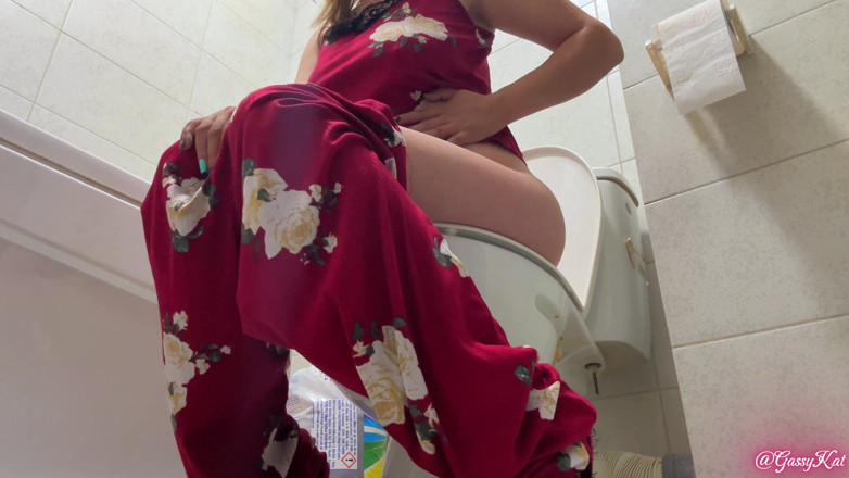 GassyKat: The Daily Toilet Temporada 3 Episódio 3