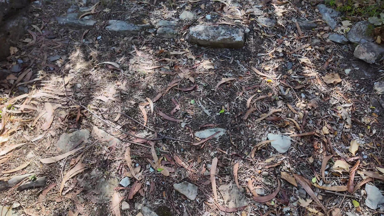 Karina Nelson: Faire du dilling en randonnée puis fellation chez un inconnu