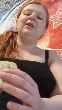 Губка, губка, губка