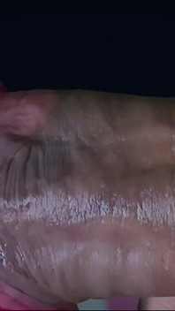 Brincalhona chupa e lambe gostoso