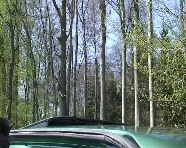 Porno kino: Cewek jerman rambut cokelat lagi asik ngentot kontol di alam...