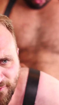 Bearfilms - memek becek gay bear angel ferrari dan harper davis