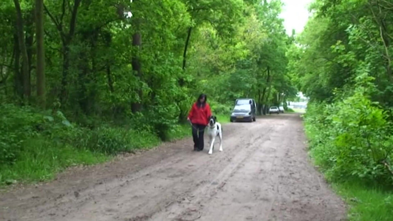 Public Entertainment: Chubby and horny brunette was walking her pet when she...
