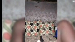 DivineAssGoddess: 완벽한 흑누나 여친: 스타일, 매력, 블리스