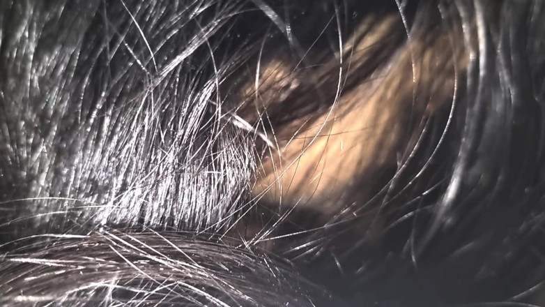 Realsexhub: Solo chupar no folla