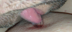 Creativeblondie: Memekku dijilat