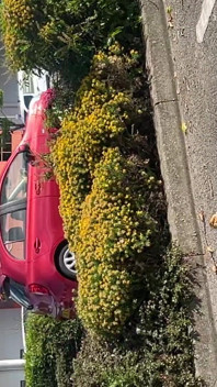 Échauffement prêt pour une branlette