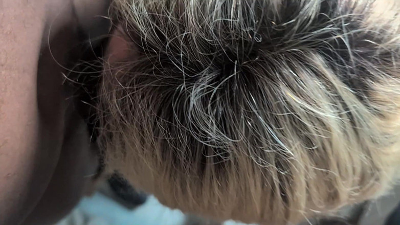 Trans and Co: A Pretty Sissy Enjoys Herself with Two Big Black Dicks...