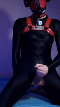 Needy Pet Jerks His Cock on His Knees