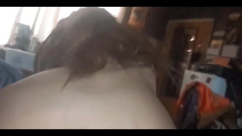 Astrid Cute: 彼らは私に無邪気な義理の妹の世話を任せ、私は彼女のPOVとセックスすることになります - 彼らは私の変態義理の兄弟を私に任せます