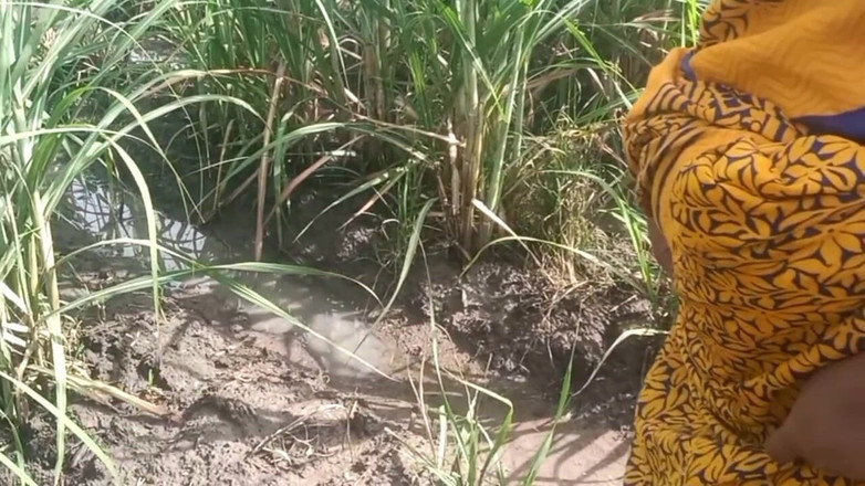 Priyanka314: 德西朋友的妻子在番石榴种植园抱着和挤压乳房