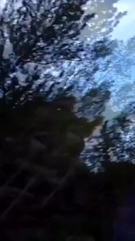 Throwback camping clips from my Blackberry... Who wants to see the videos we shot that weekend?