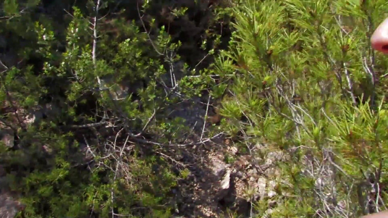 Real Home Made: Pussy fucking big cock sucking in the forest