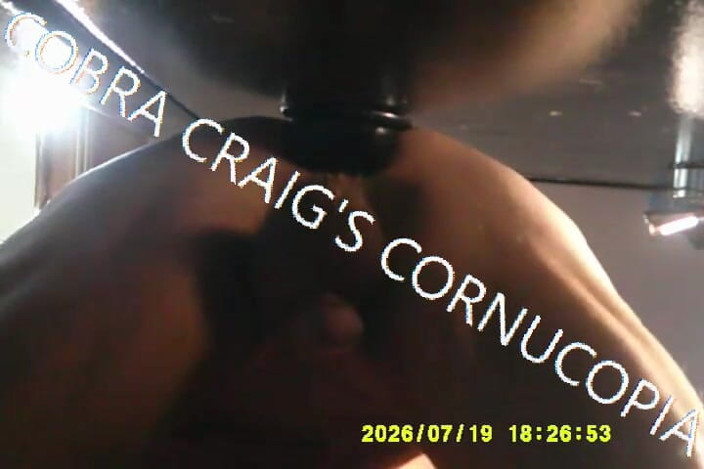 COBRA CRAIG: Upshot đáng buồn thay là lần gần nhất tôi từng thấy...