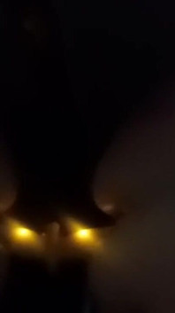 Dark Fun