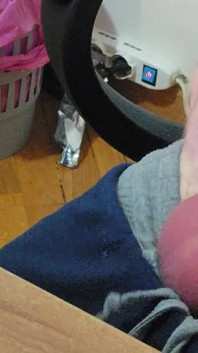 Handjob ayam yang bagus dengan bola besar