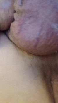 My Ass