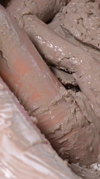 Adriana Chechik Sexual Mudbath