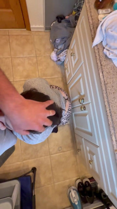 NNJCouple: Christina går till stan