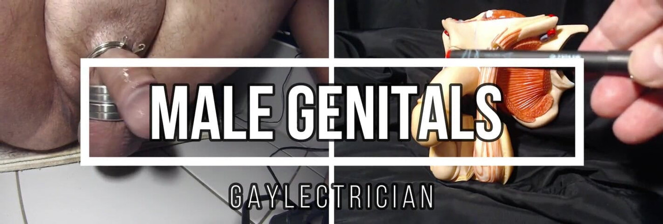 Gaylectrician: 男性の性的共鳴221216
