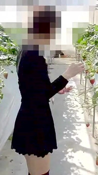 Mayu No.45: Strawberry Picking Exposure, Immediate Oral, Swallowing Specialization