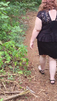 Walk in the Woods Who I Meet Today