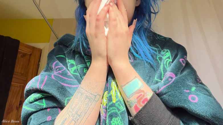 Alice Bean: Hayfever Honks