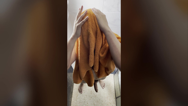 Aimeronds: 垂直视图：淋浴间