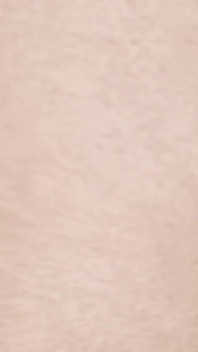 痩せたフェムボーイがトイレでおしっこをし、自慰行為をしている