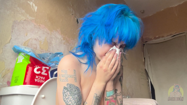 Alice Bean: Honks on the Toilet