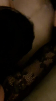 Slut in Sexy Lingerie Licks Cock
