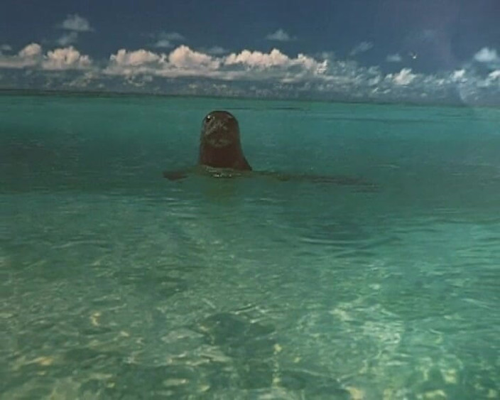 BB Video - Old School: Tysk amatör tonåring brud blondin knullad #10