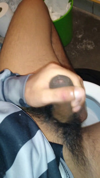 My Cock Is Very Erect