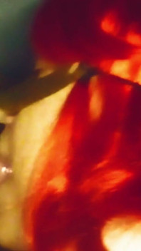 19 Madura Diablita En Gloryhole - Ornella