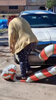 Big Beautiful Woman Nurse Vicki Crushes This Blow up Candy Cane
