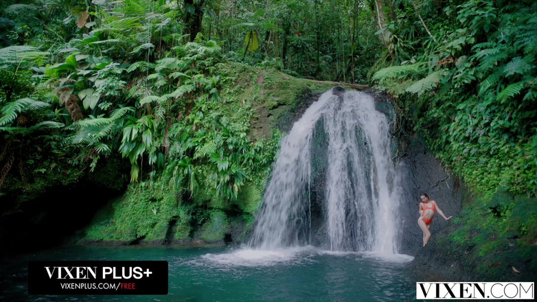 Vixen: Vixen, ela fez as coisas seguirem seu caminho