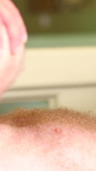 BEARFILMS - Raw banging von Brad Kalvo für Russell Tyler