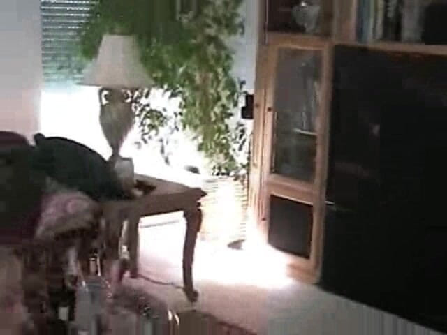 Wicked Sexy Melanie: 邪恶的性感梅兰妮色情荡妇 第2部分