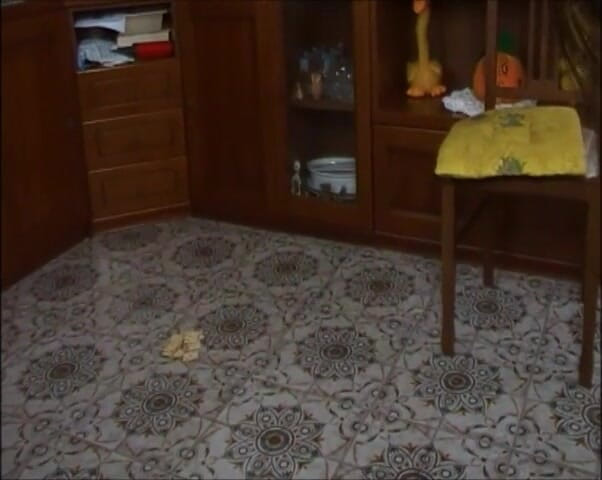 Bergami Melissa: Your Reward - Eating on the Ground - P720 Wmv Version