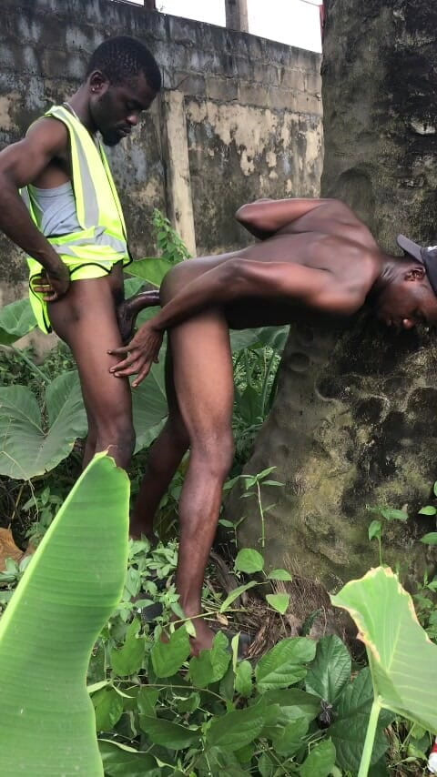 Sexydaddy: Buitenseks achter de palmboom is de boerderij