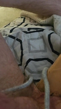 Selvagem