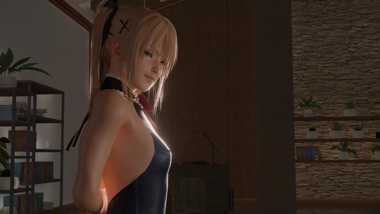 PixelAftDark: Honoka's Service (dode of Levende Hentai (doa) Animatie)