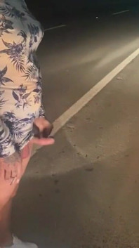 Sikanie na autostradę