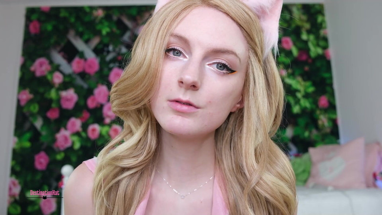 Destination Kat: Numai negare