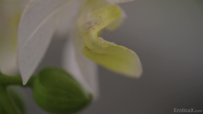 Erotica X: Eroticax - une chanteuse d'opéra rousse apaise sa gorge avec une...