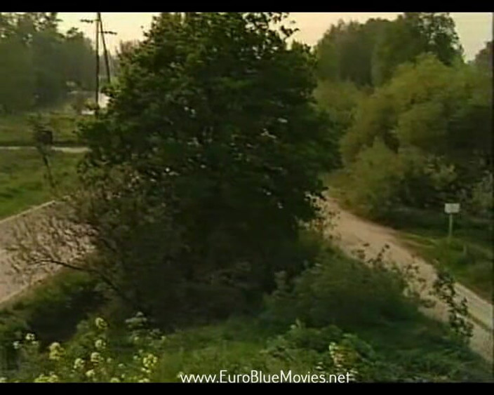 Euro Blue Movies: Speciale 5 (1993)