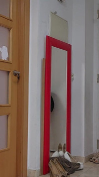 Người mẫu 5 đôi giày cao gót