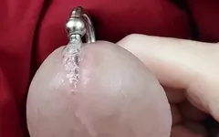 Jerking off My Prince Albert Cock